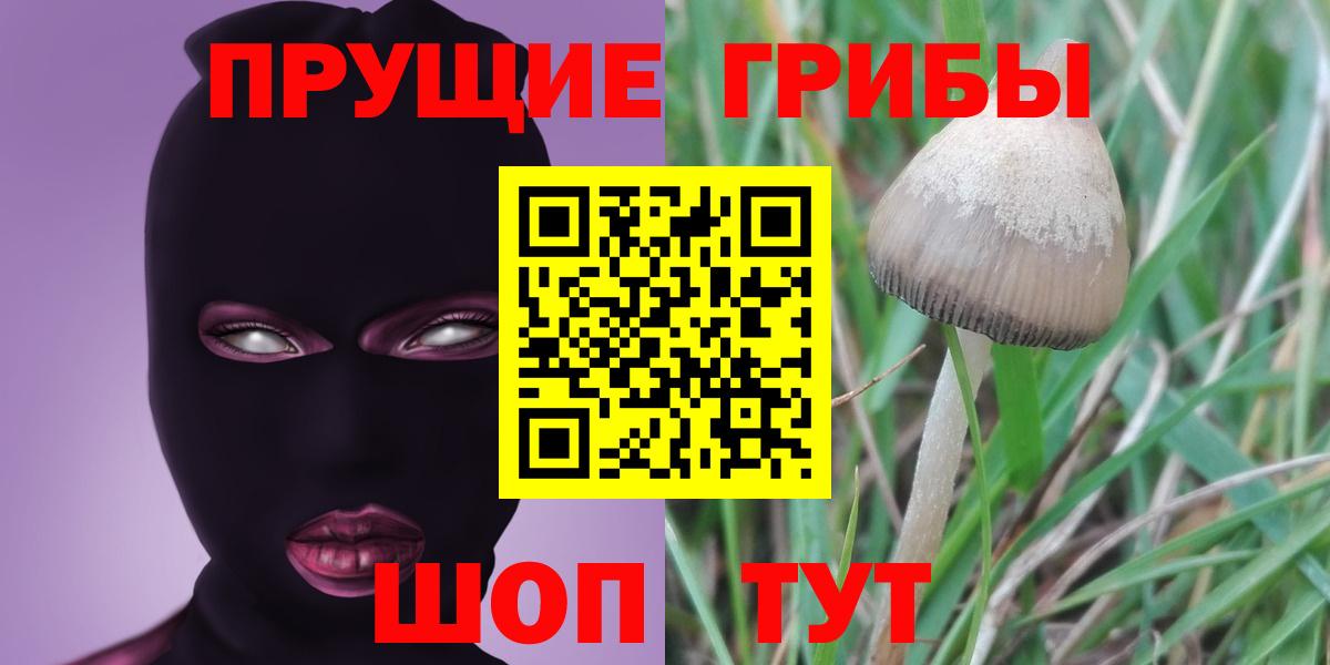 Псилоцибиновые грибы MAGIC MUSHROOMS  Вход с VPN  Гулькевичи 